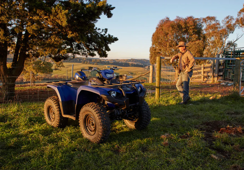 Yamaha YFM450 (Kodiak) 2024 Lifestyle3 | Galgo México