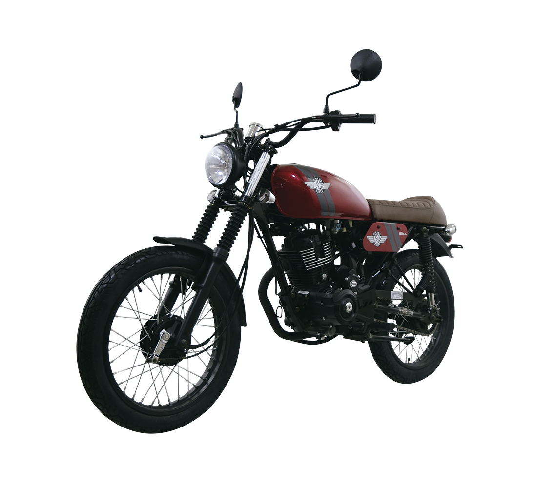 Dinamo KF Racer Galeria2 Galgo México