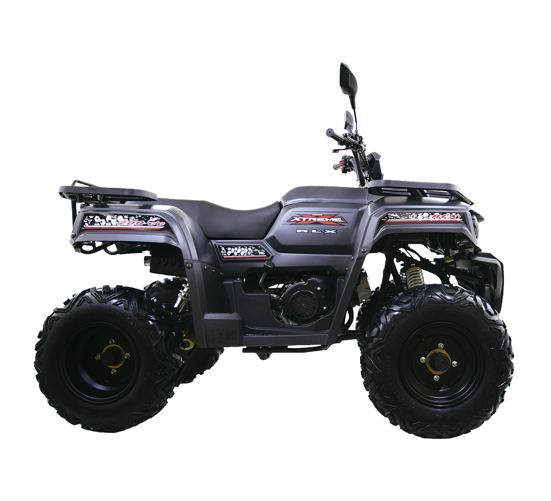 Dinamo Xtreme RLX Galeria3 Galgo México