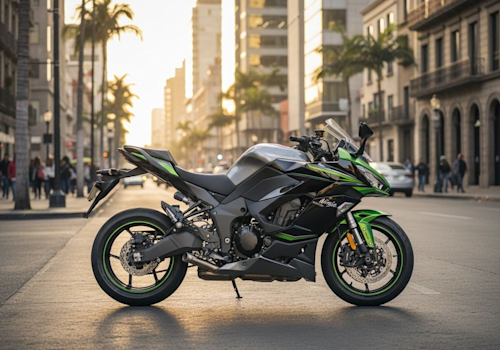 Kawasaki Ninja 1000 SX Lifestyle2 Galgo
