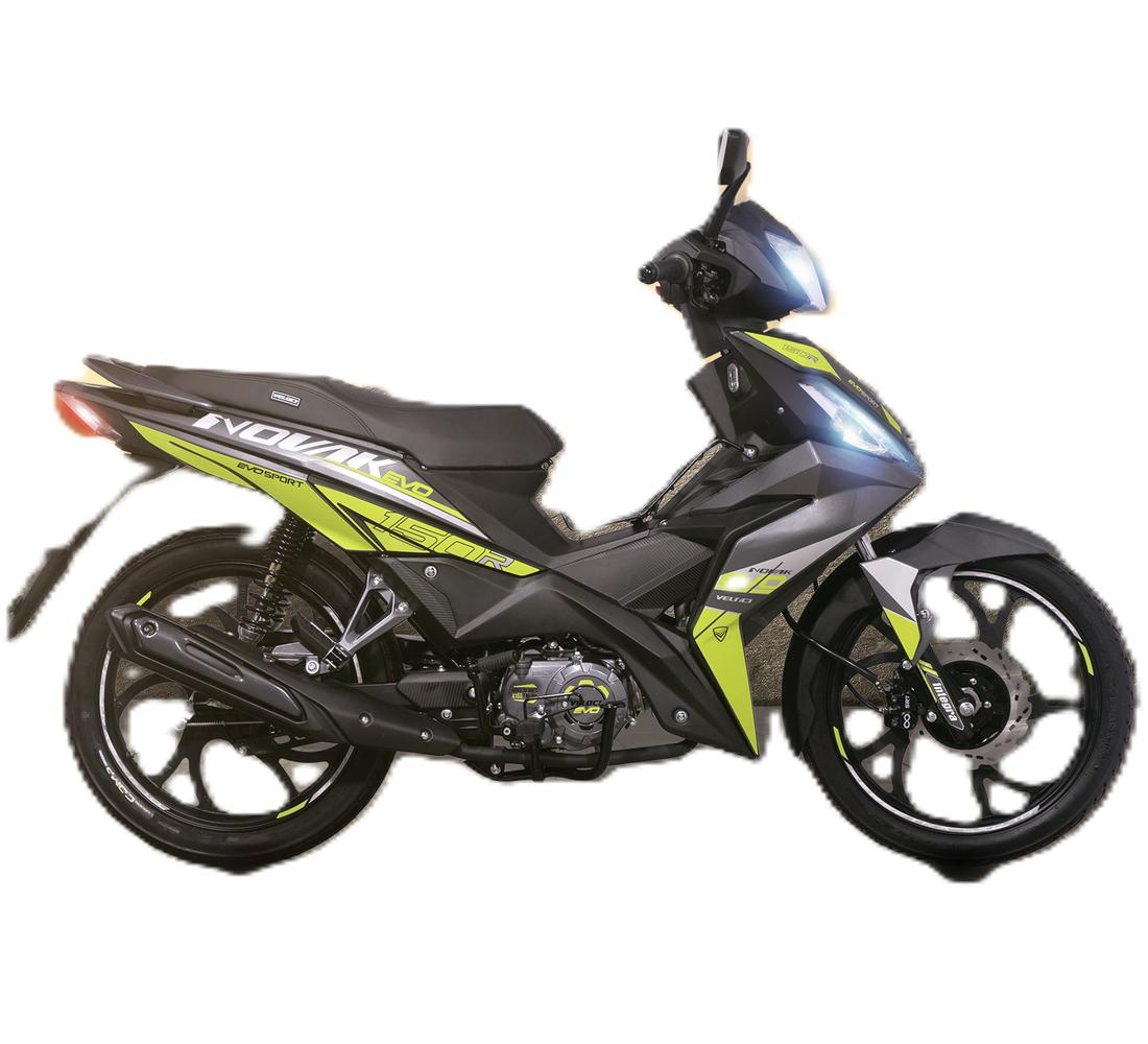 Veloci Novak Galeria1 Galgo