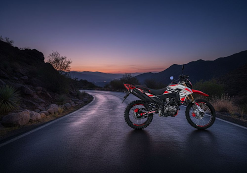 Zmoto 300 Pro Lifestyle2 Galgo