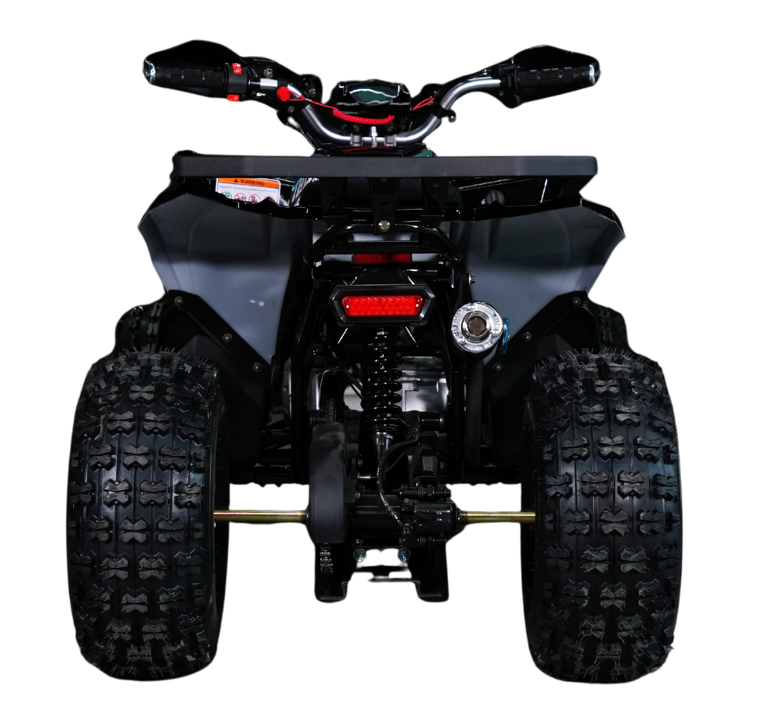 Sharmax Cross 180 Galeria5 Galgo