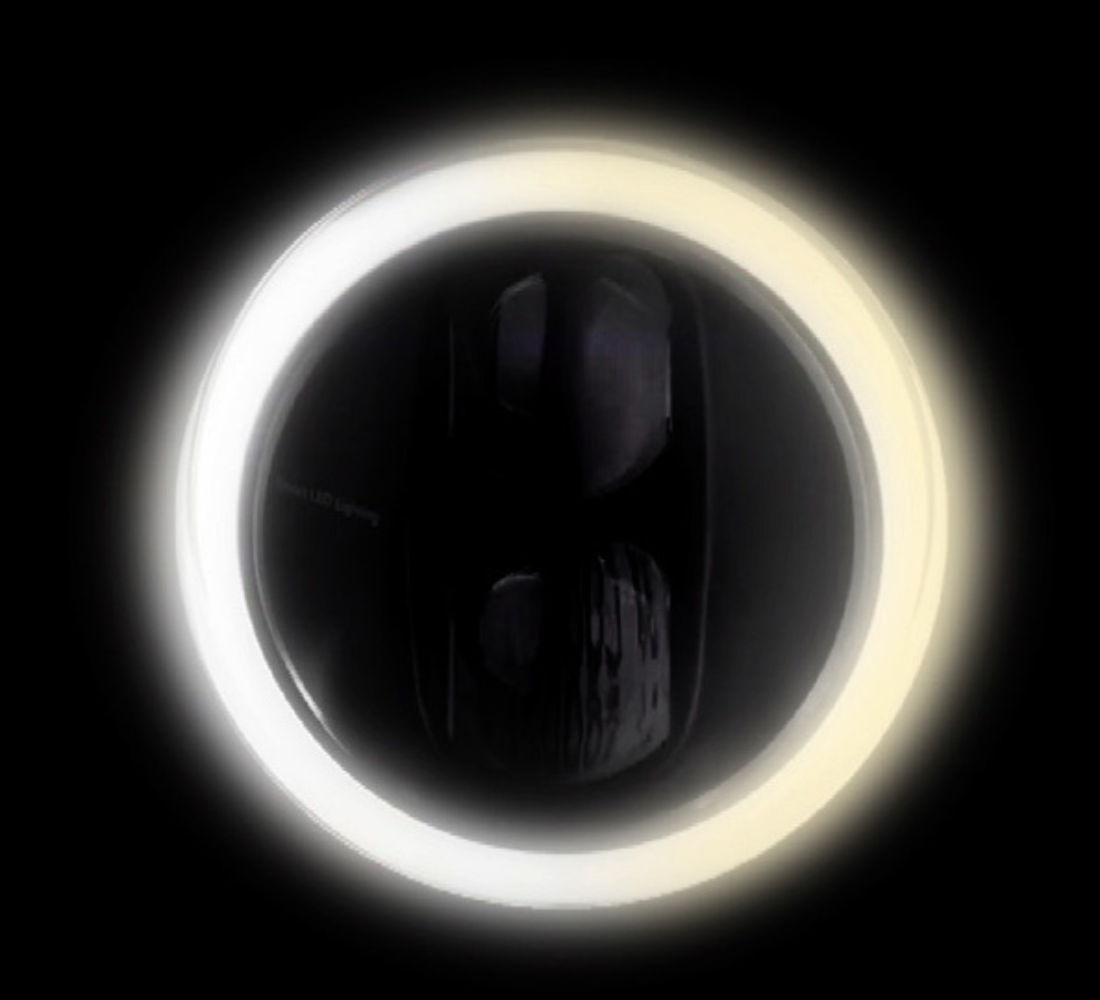 NIU GTS - 2 - Galgo Colombia