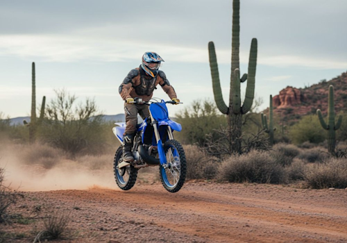Yamaha YZ250 Lifestyle1 Galgo