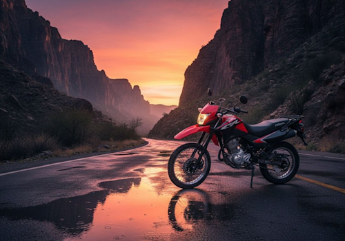 Honda XR 150L Lifestyle2 Galgo