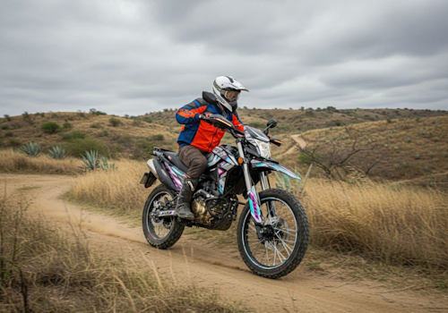 MB Beretta 300 Lifestyle1 Galgo