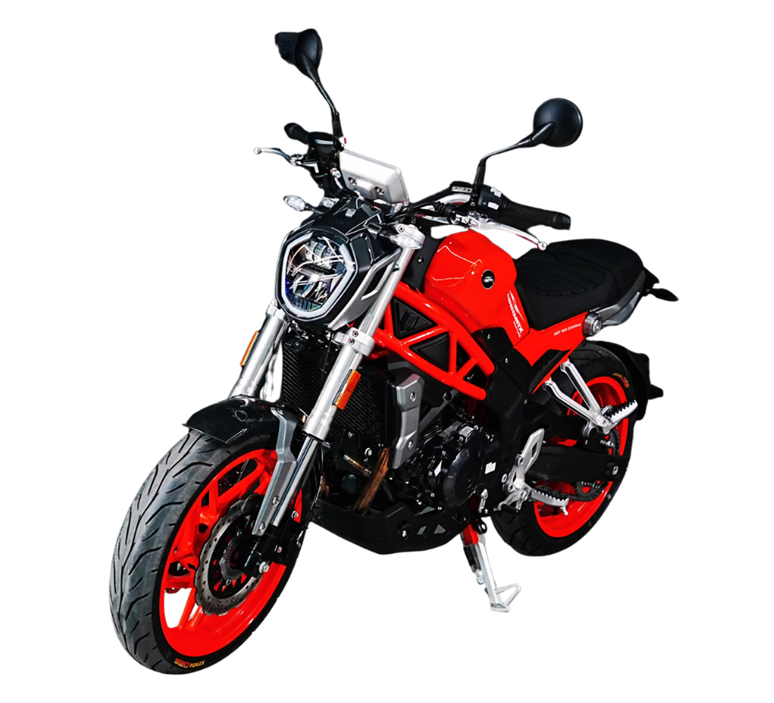 Sharmax RST 501 Zooma Galeria2 Galgo