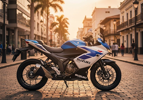 Suzuki GSX 250 FI Lifestyle2 Galgo