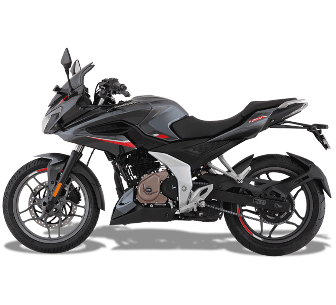Bajaj Pulsar F250 Galeria2 Galgo