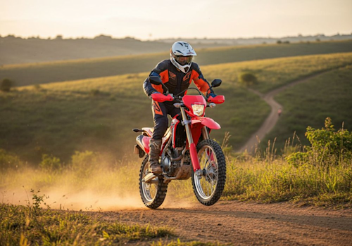 Honda CRF 300 F Lifestyle3 Galgo