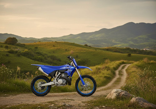 Yamaha YZ250X Lifestyle2 Galgo
