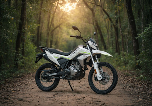 CFLITE 250 Dual Lifestyle2 Galgo