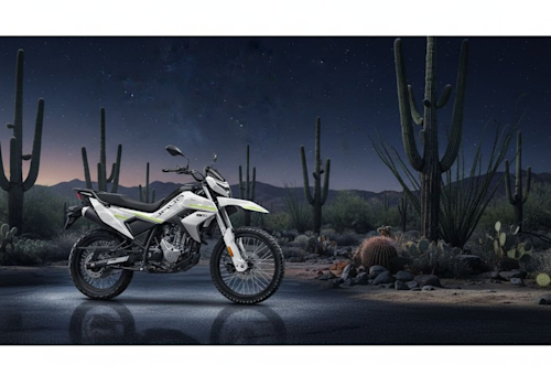 CFLITE 250 Dual FI ABS Lifestyle1 Galgo