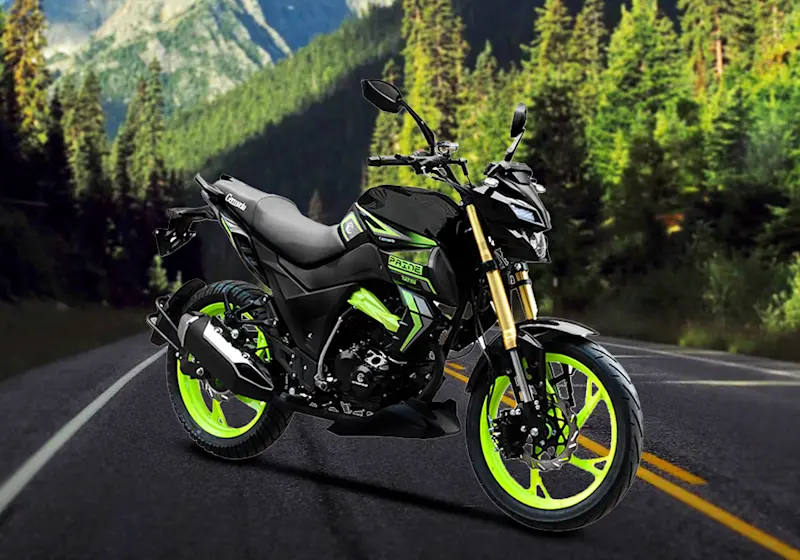 Germania Motorcycles Paine Migrante