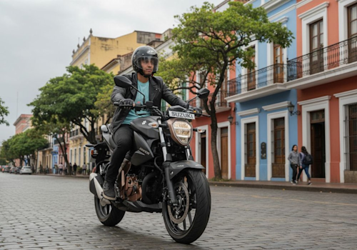 Suzuki Gixxer 250 Lifestyle3 Galgo