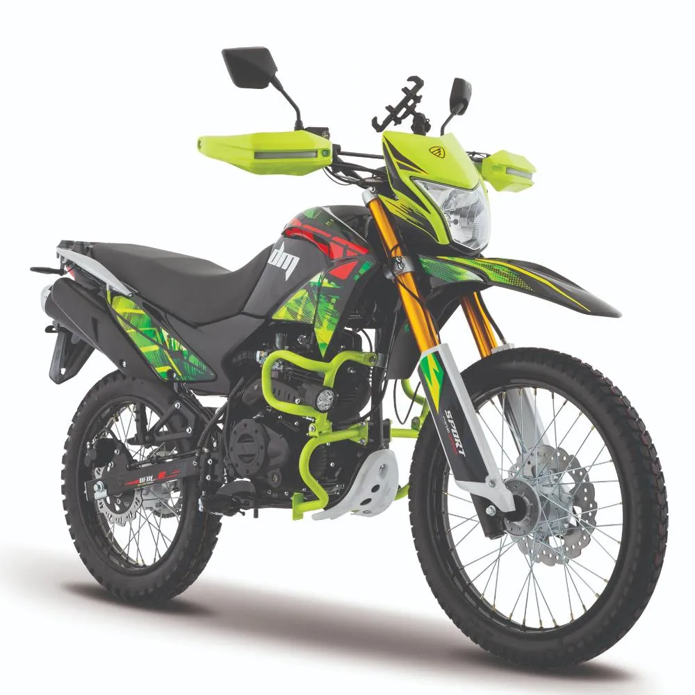 Moto Italika DM250 Imagen principal | Galgo México