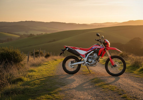 Honda CRF 300L Lifestyle2 Galgo