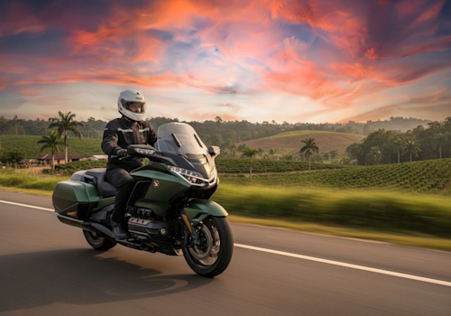 Honda Goldwing Lifestyle3 Galgo