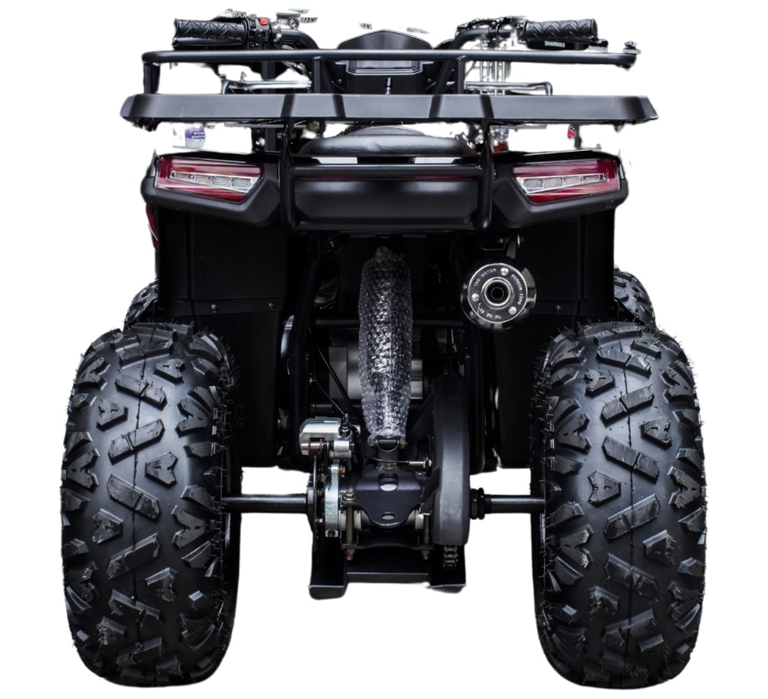 Sharmax Activator 300 Galeria2 Galgo