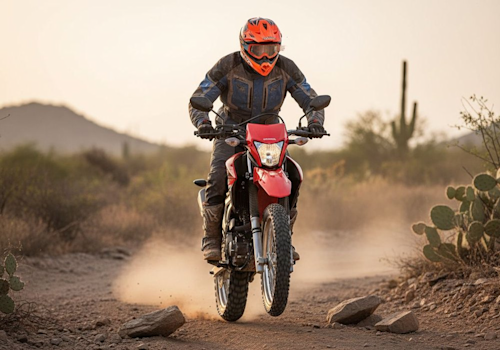 Honda XR 190 L Lifestyle3 Galgo