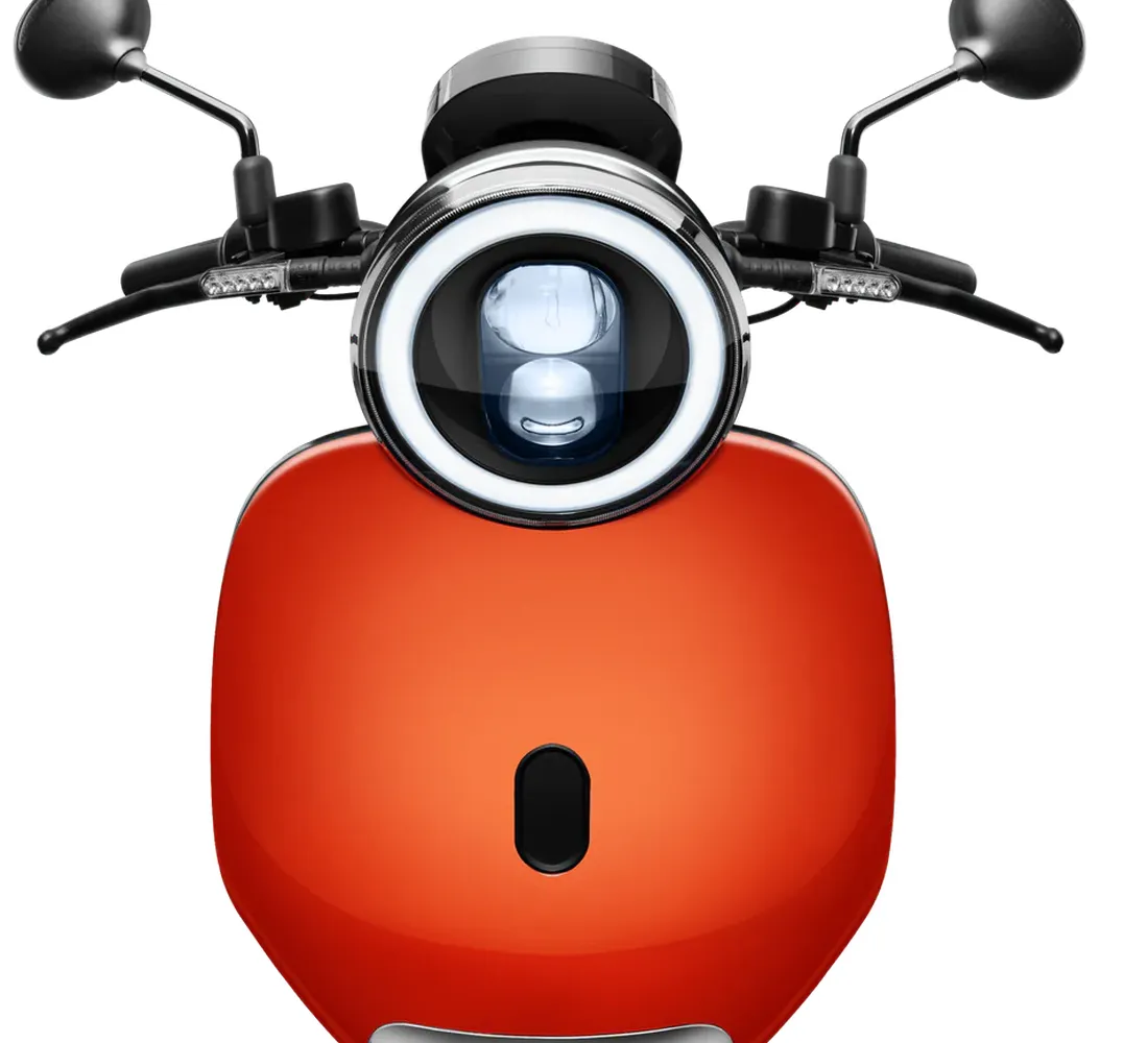 Jego Galeria5 Galgo Chile