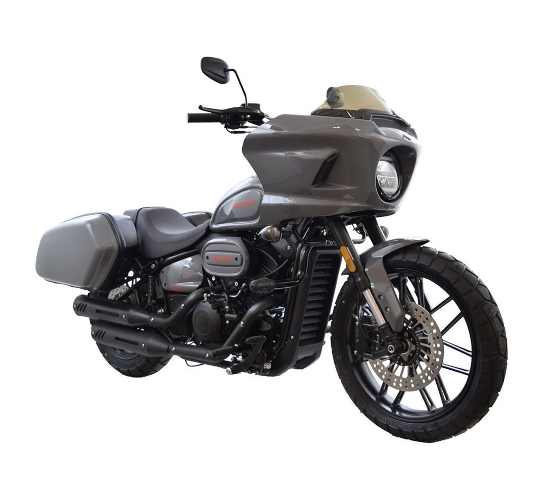 Dinamo Bandid Galeria5 Galgo México