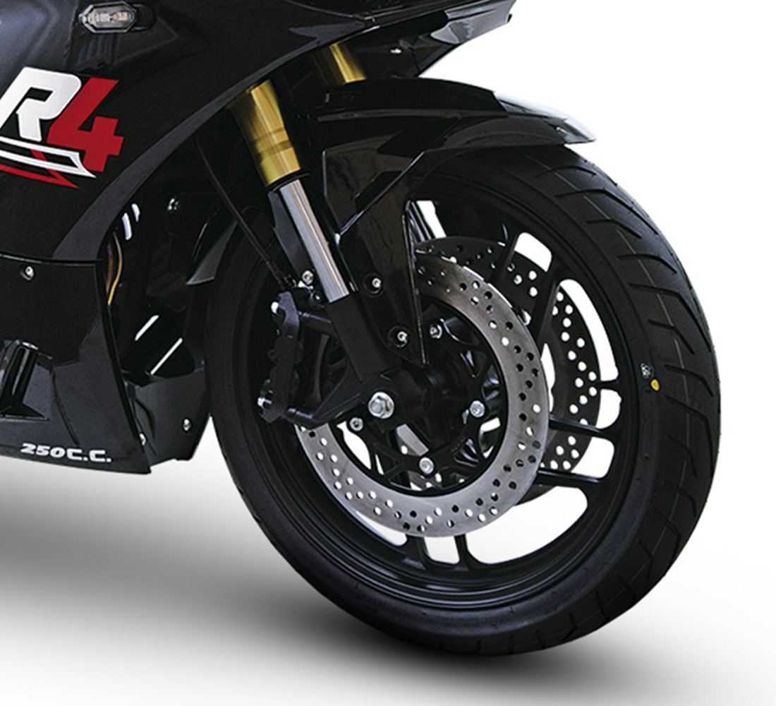 Dinamo R4 - Galgo México Carrusel