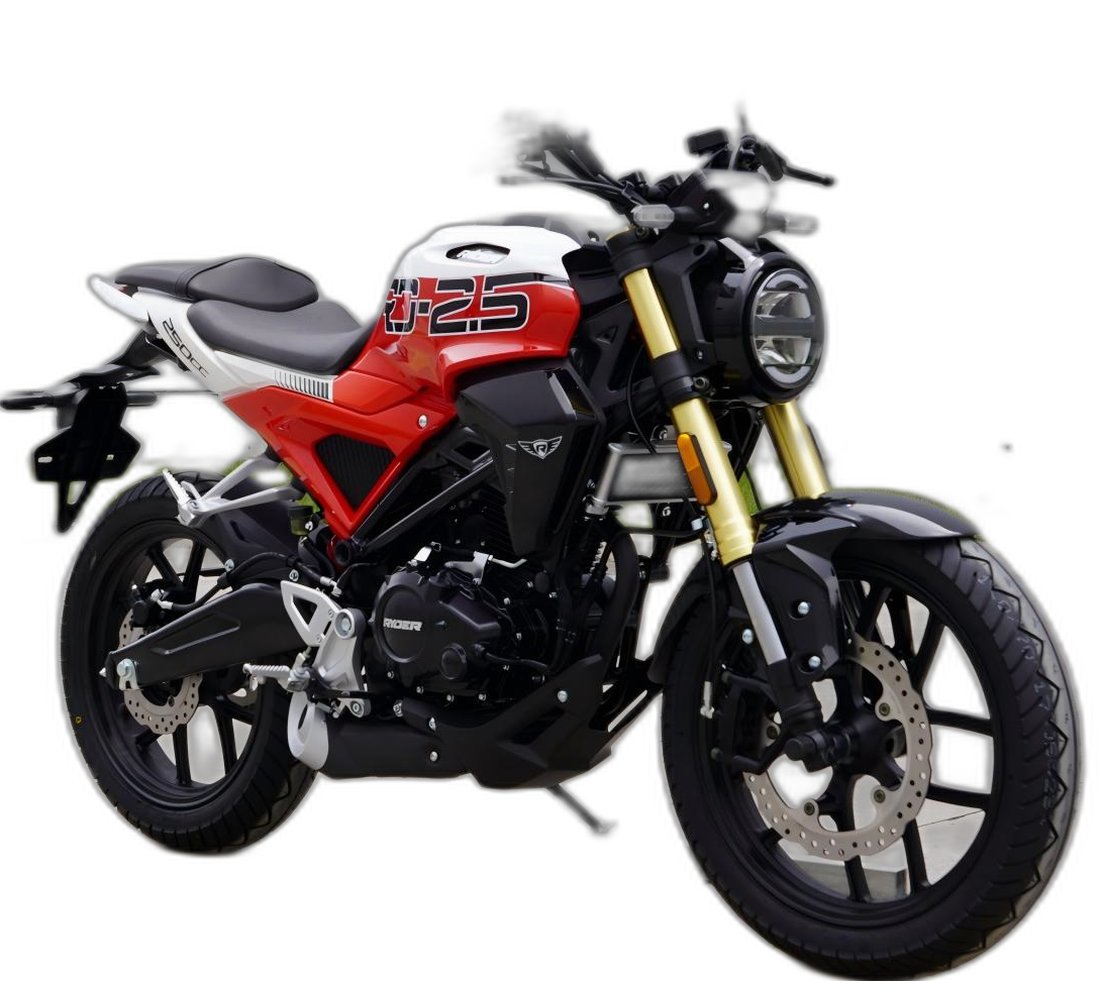 Ryder RD2.5 Imagen principal Galgo_1