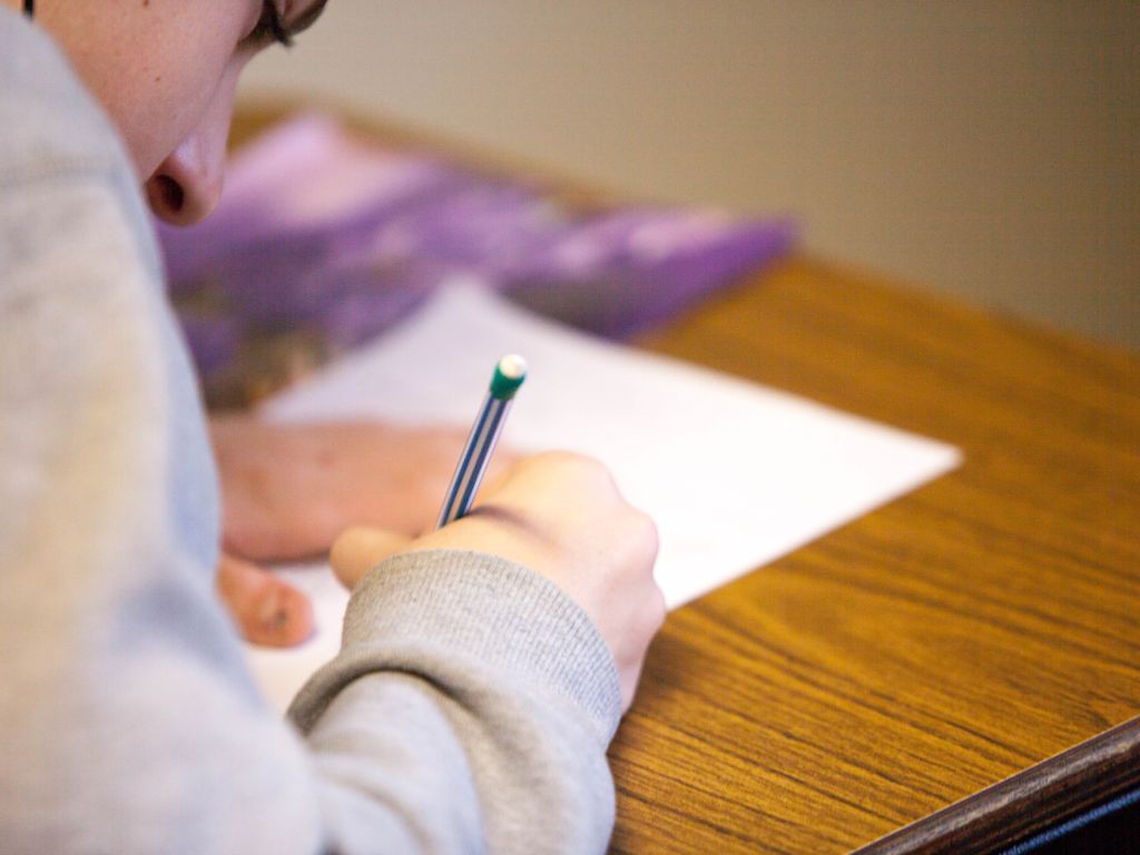 havo leerling examen slagen