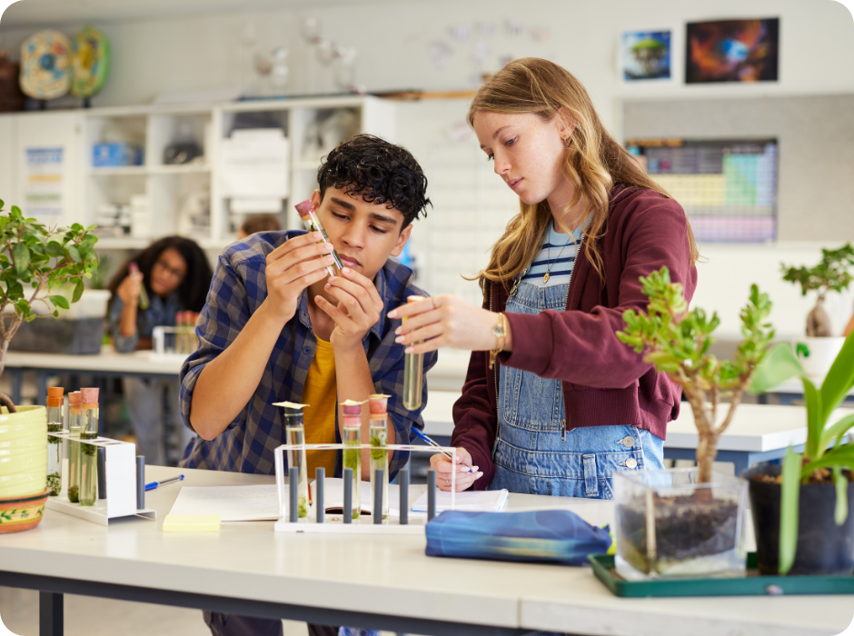 Header_artikel_havo_examen_biologie