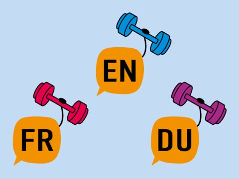 Drie logo's van woordjetrainer Examenidioom Frans, Engels, Duits