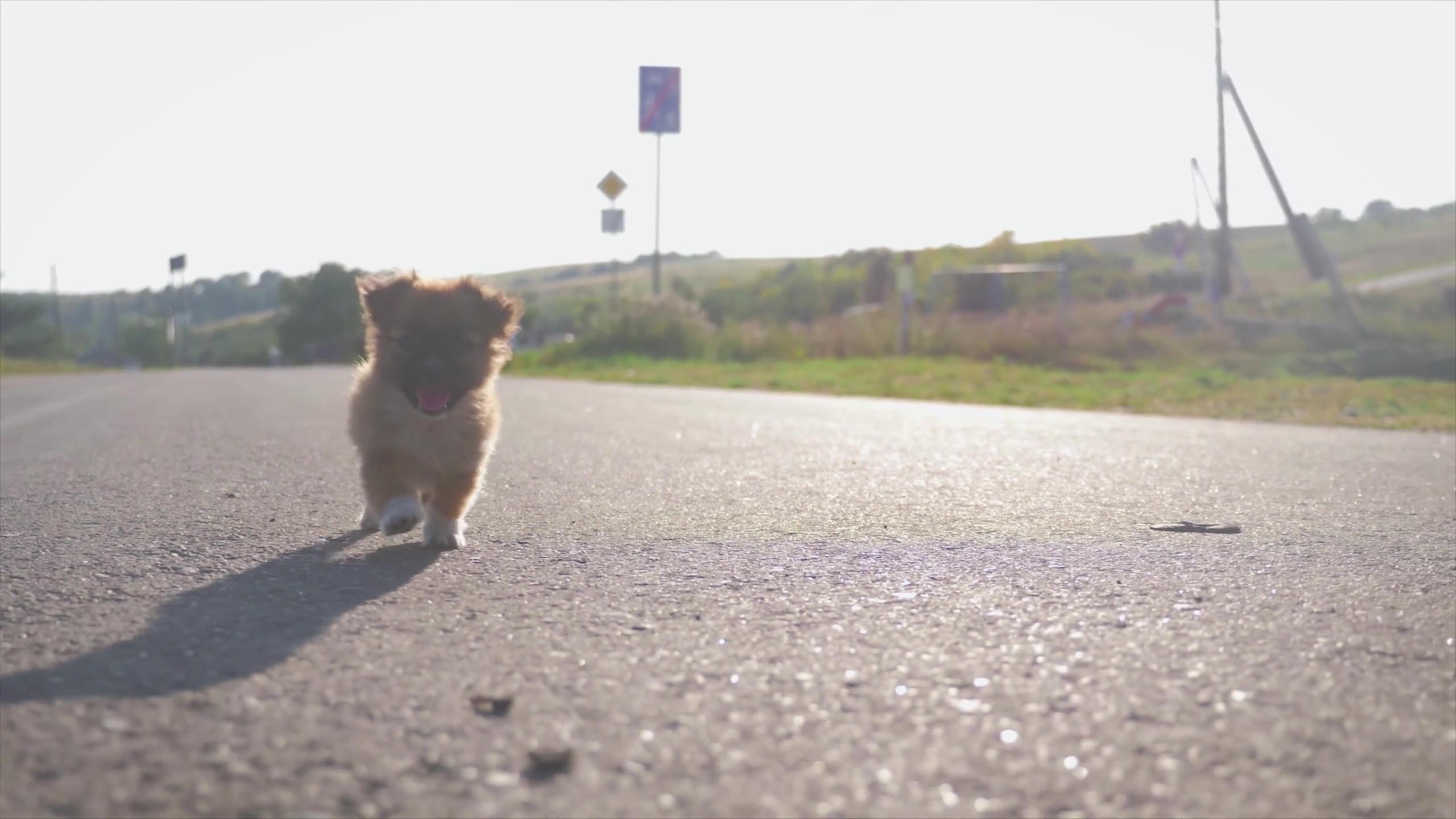 Wachten op de examenuitslag-therapie-thumbnail