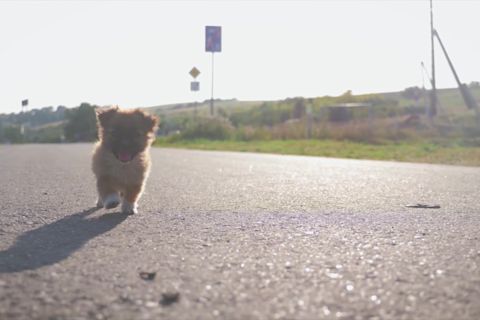 Wachten op de examenuitslag-therapie-thumbnail