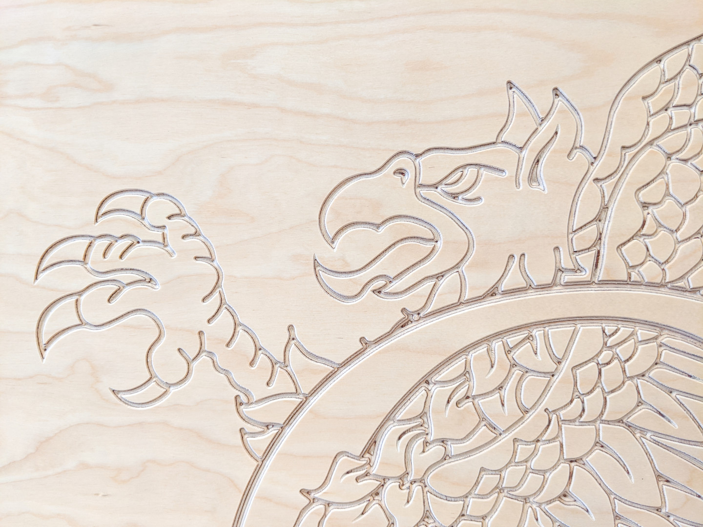 Griffin IMG 20200619 113728