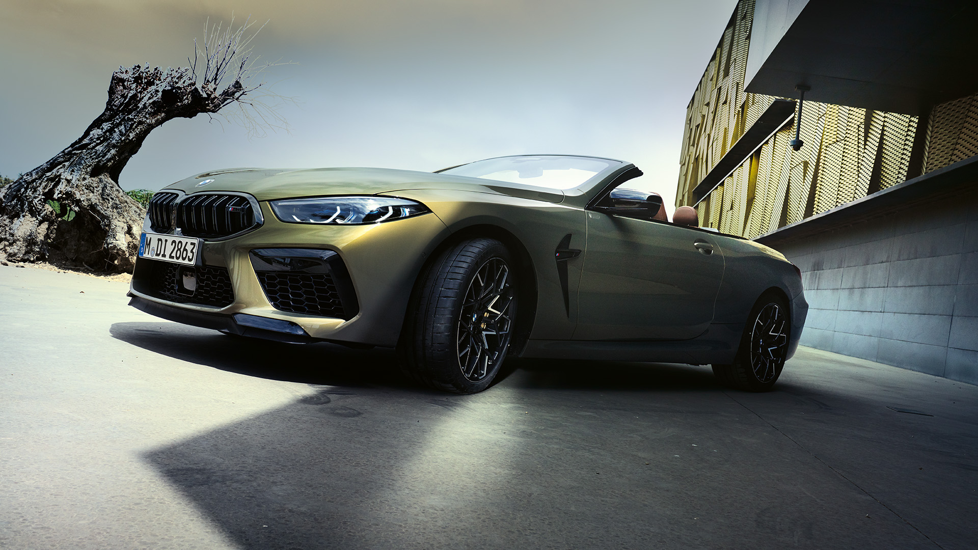 A sleek, olive-green BMW convertible parked on a concrete surface near a modern building with a unique tree in the background.