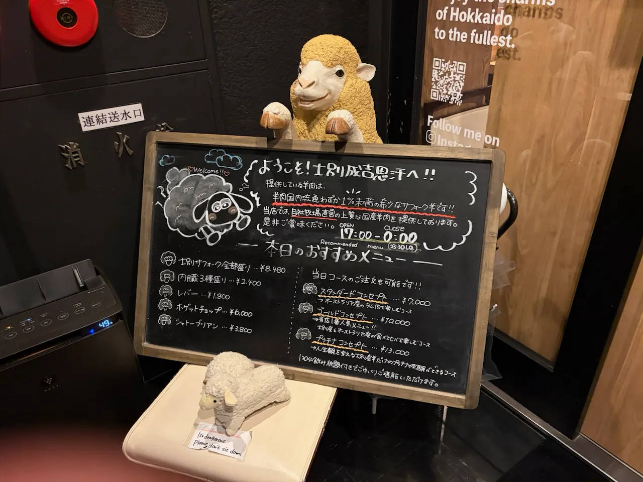 IMG 4756