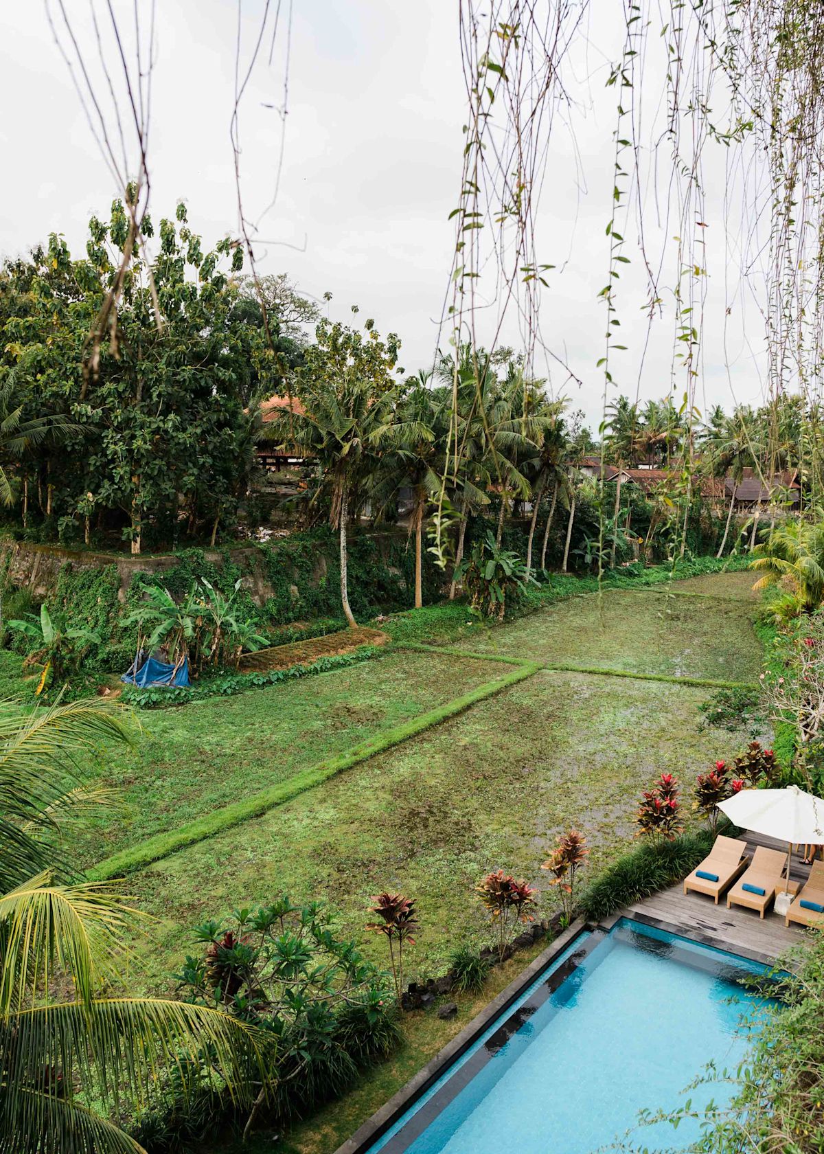 Checking In: Byasa Hotel in Ubud, Bali - Passport to Wellness