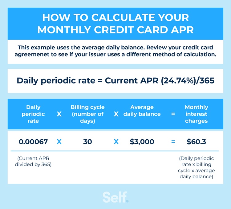 How to calculate your monthly credit card apr