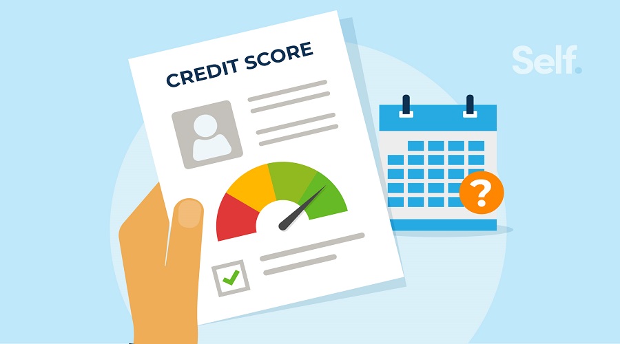 How Often Should You Check Your Credit Score?