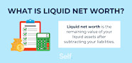 What Is Liquid Net Worth Self Credit Builder 