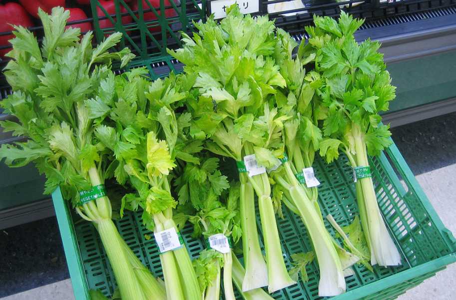 Benefits of Celery Juice