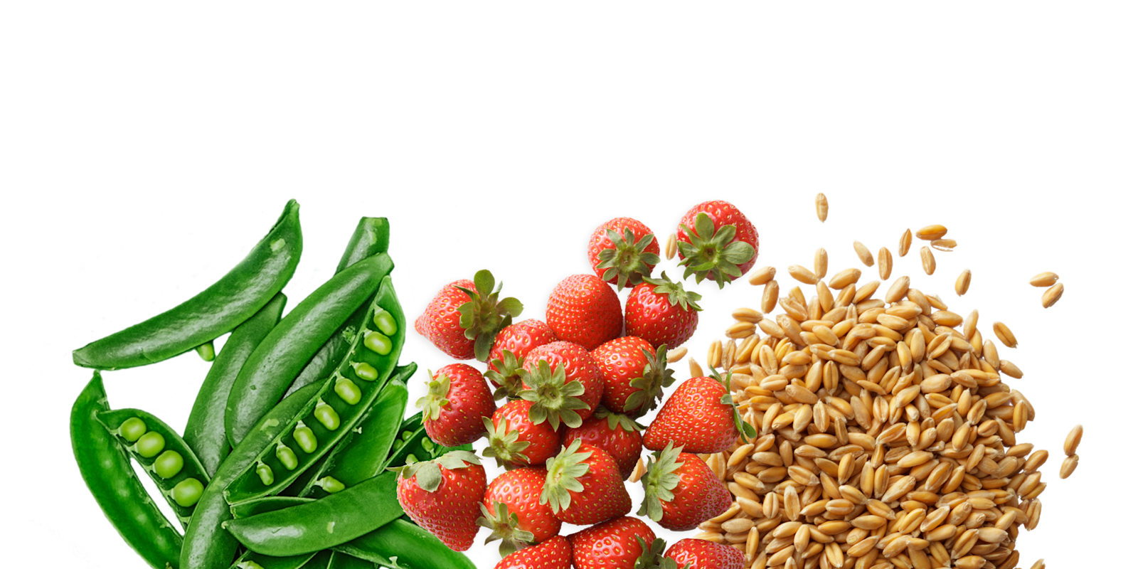 meal-plans-tips-8fit