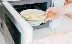 Microwave and Hot Plate Recipes for Cooking in a Kitchenette