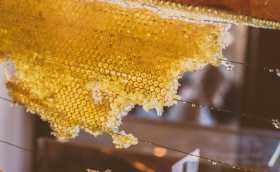 8 Health Benefits of Raw Honey | Keeping Heart Healthy
