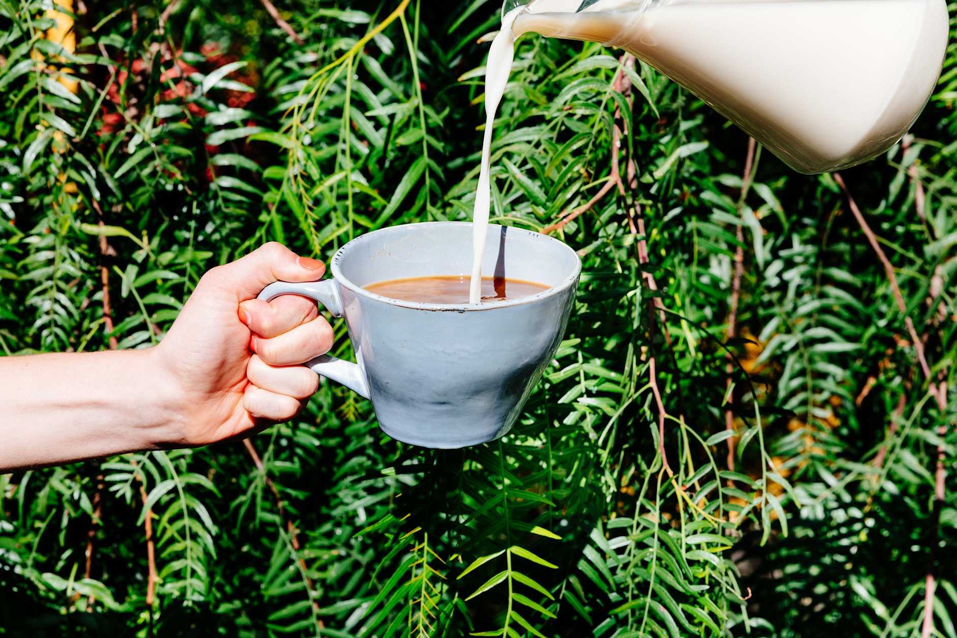 How to Make Almond Milk Quick, Simple & Delicious 8fit