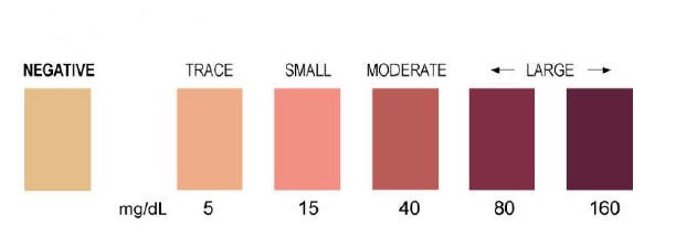 Ketone Testing Color Chart