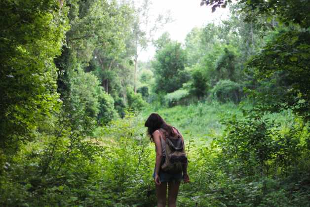 forest walk girl woman female michelle spencer unsplash
