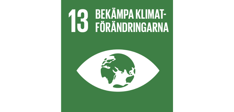 FN-mål illustration klimataction