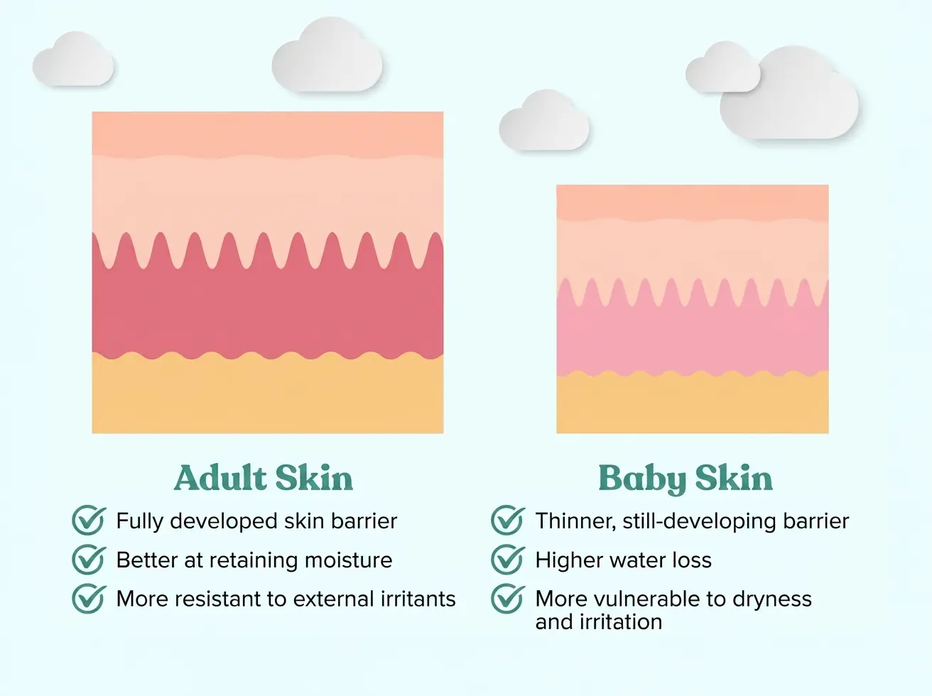 Adult Skin Vs Baby Skin